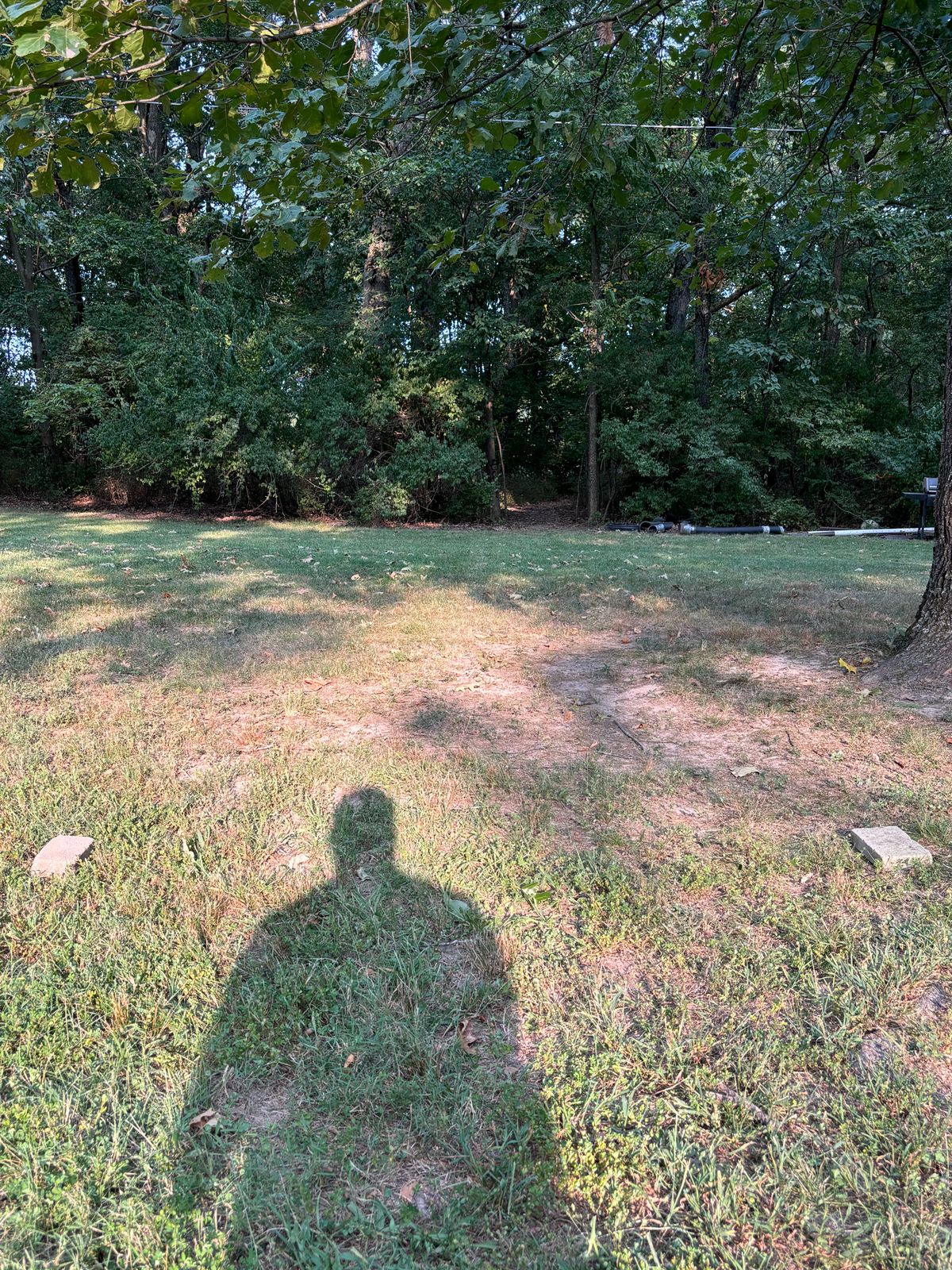 Hole 3