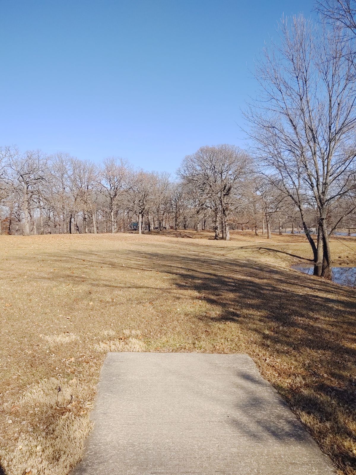 Hole 16 tee