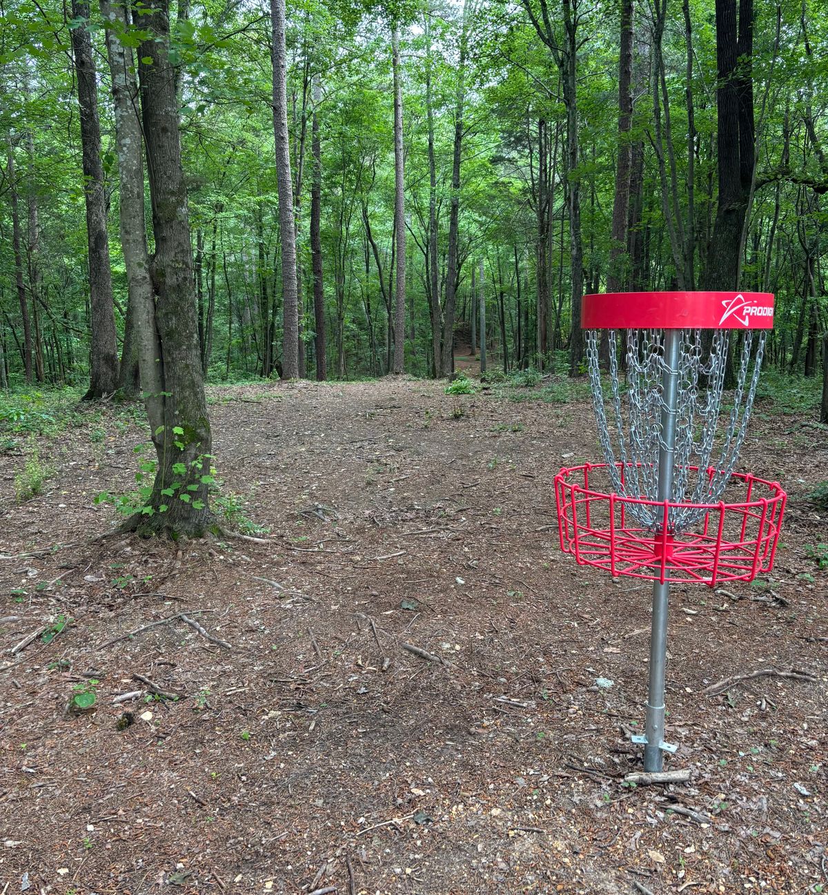 Hole #9 Basket to Tee