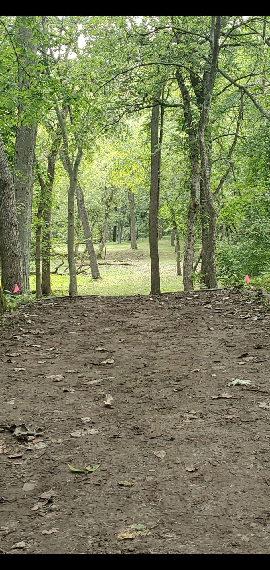 Hole 7