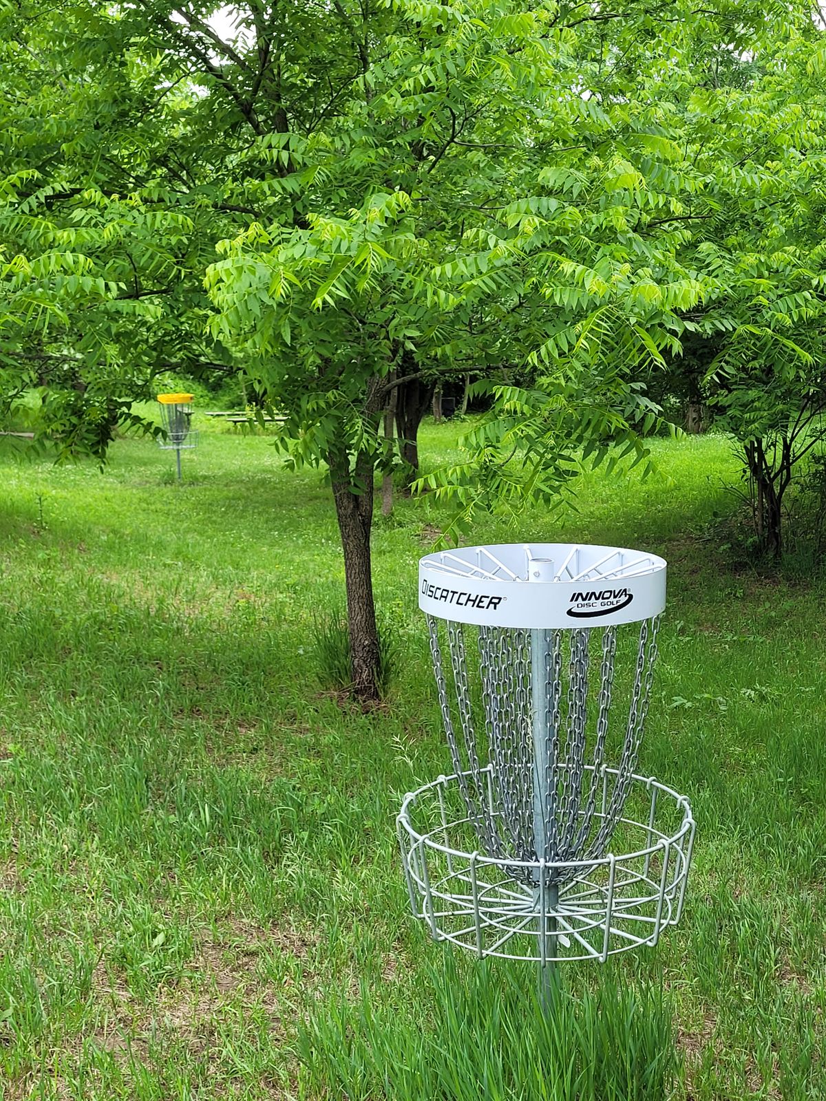 Hole 14 white basket to tee