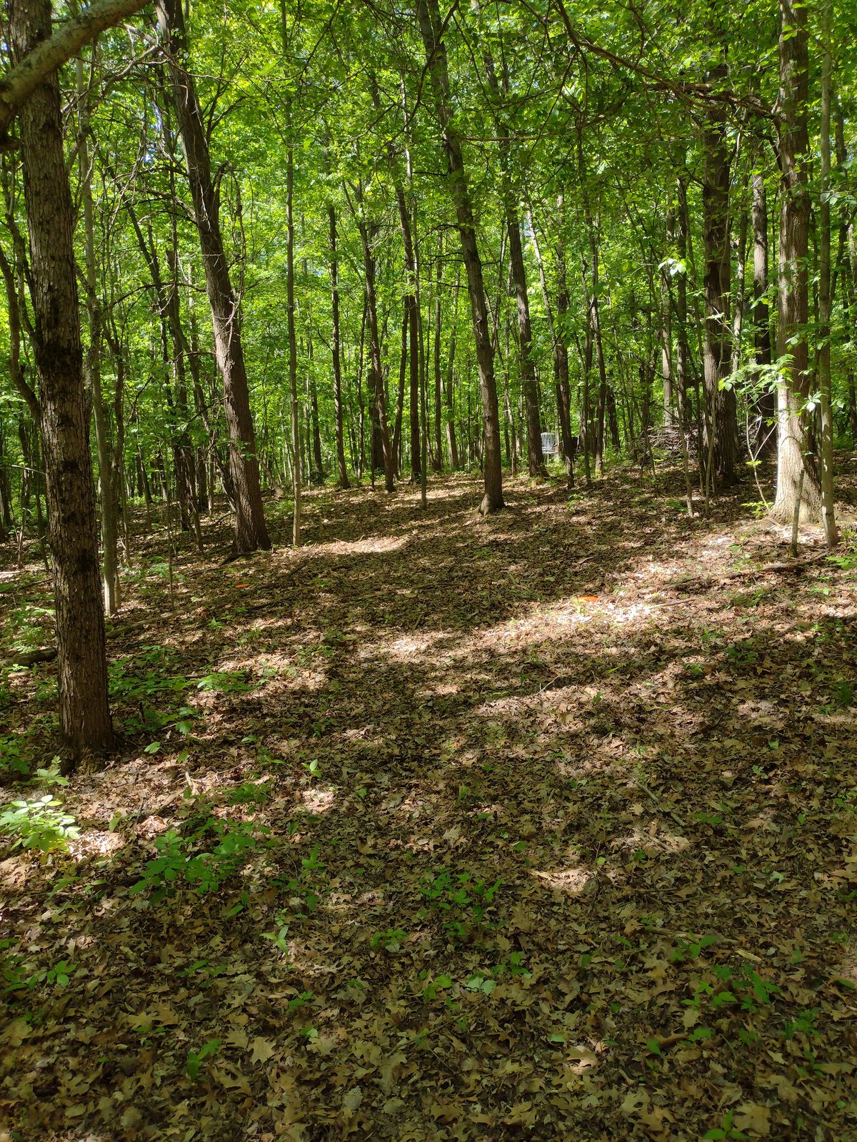 Approach hole 16