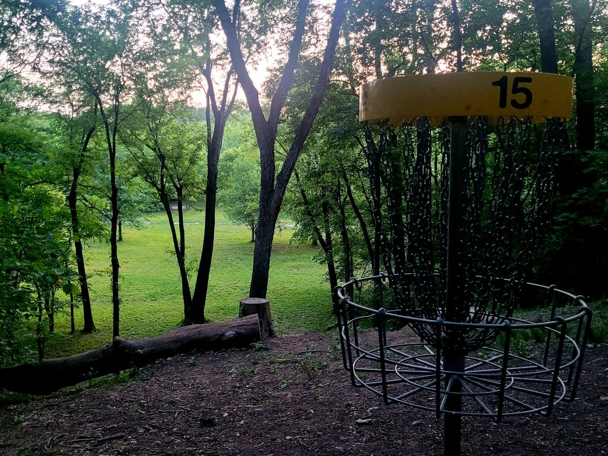 Hole 15. Behind basket looking down toward fairway.