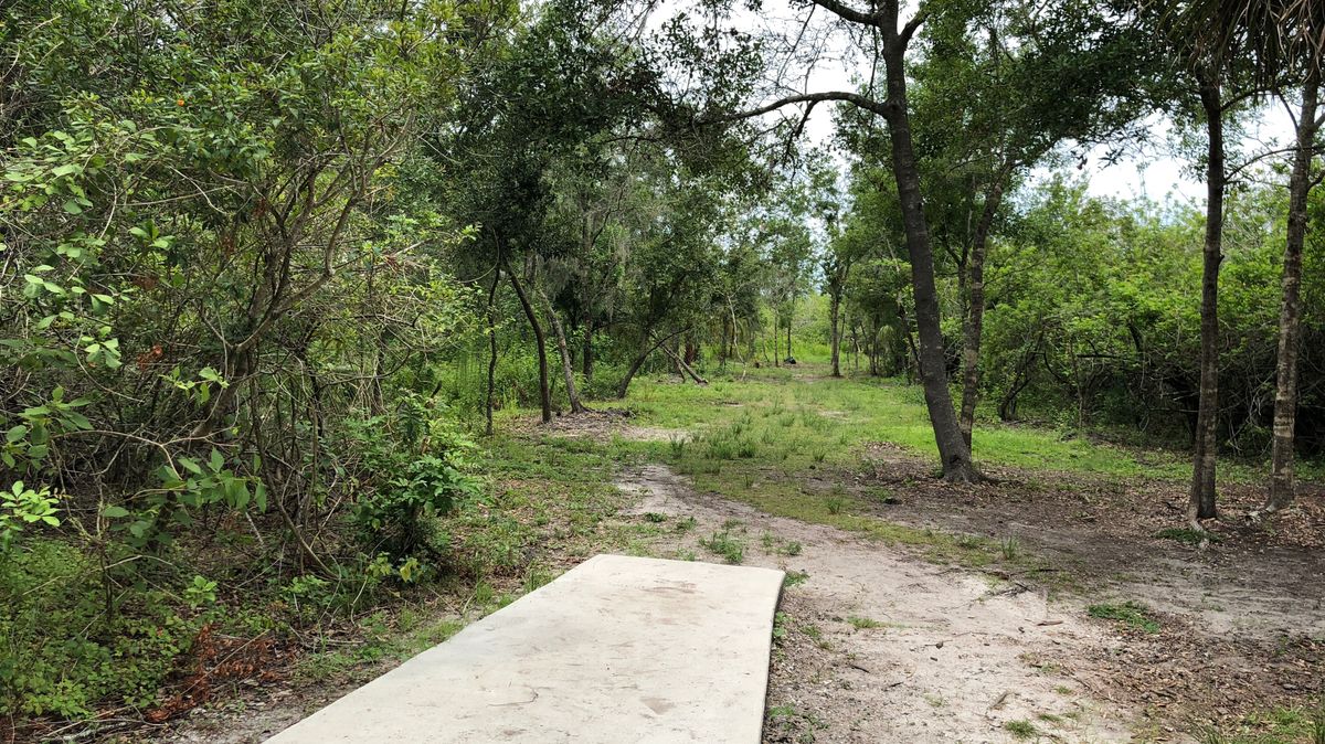 Hole 4