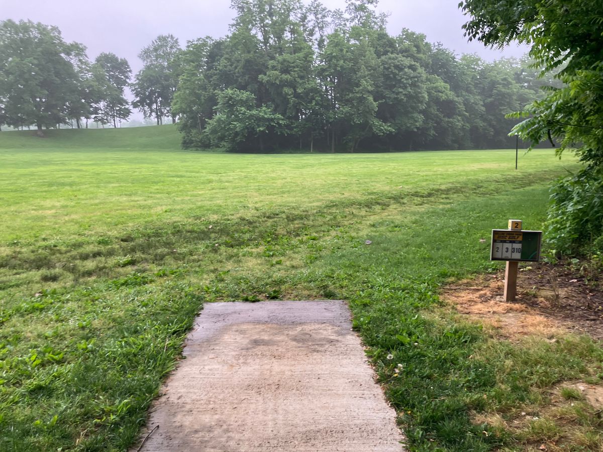 Hole 2. Sub 300’ straight shot to the basket on an elevated hill.