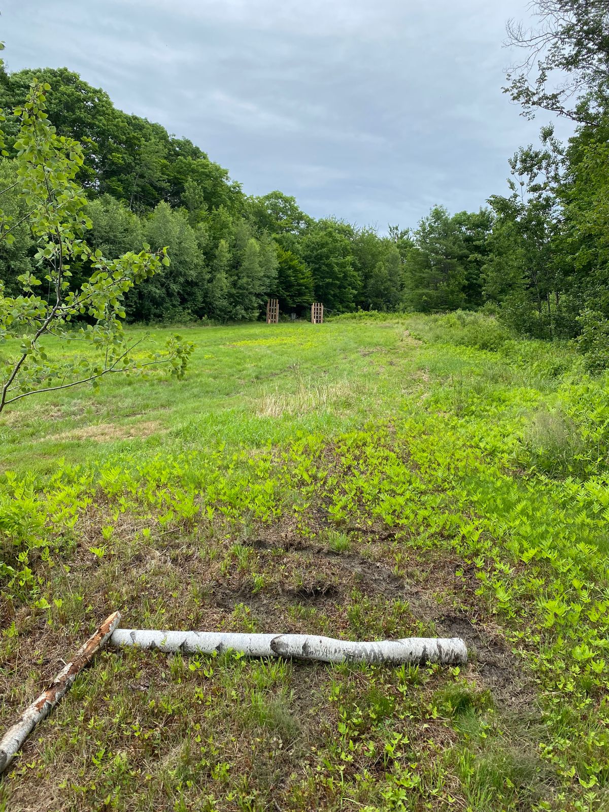 Hole 9