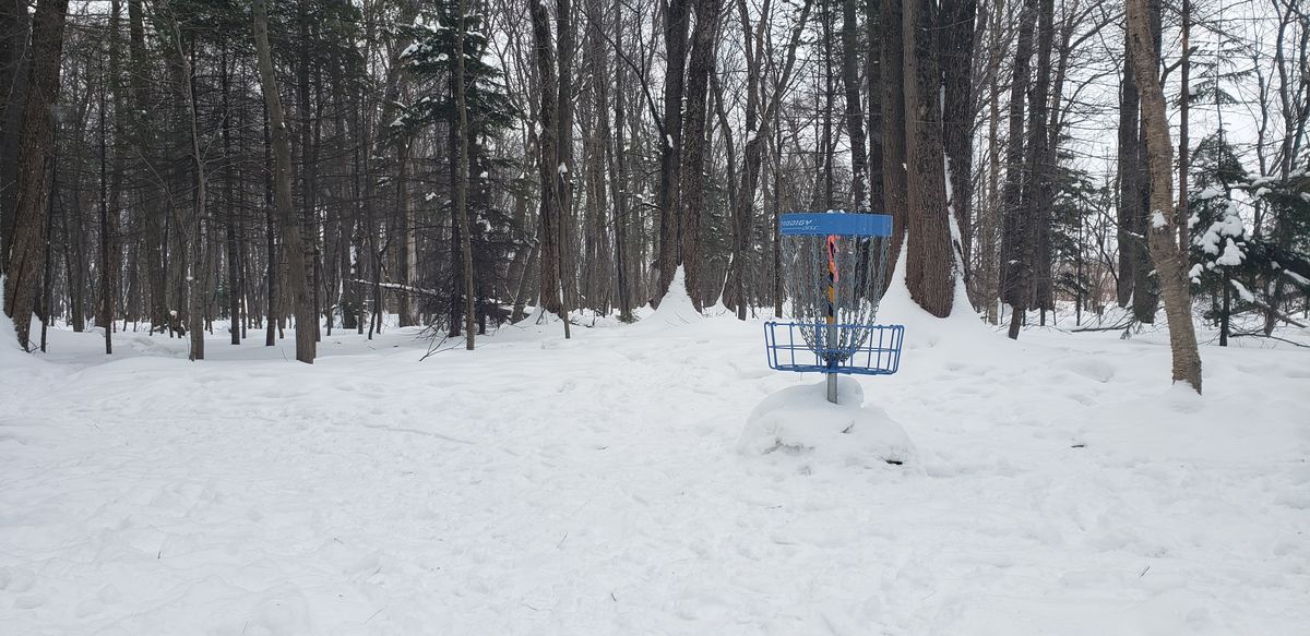 Circle #7 in winter!