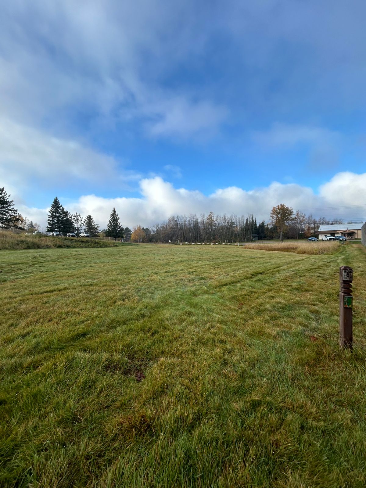 Hole 8 tee area, tee is under grass
