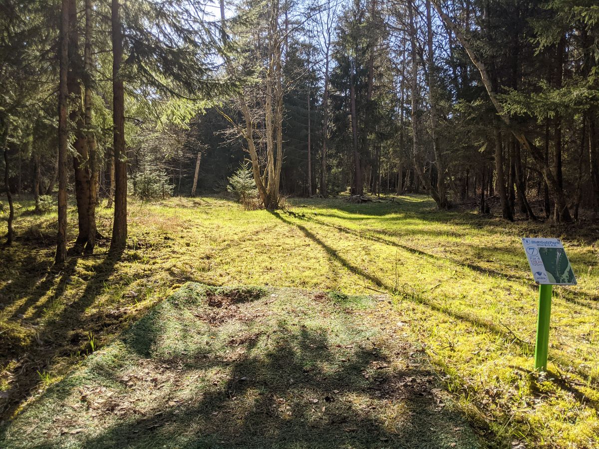Hole 7: turn to the right very close to tee, then straight to the basket. Dense woods on both sides when within 100-ft/33,5-m of the basket