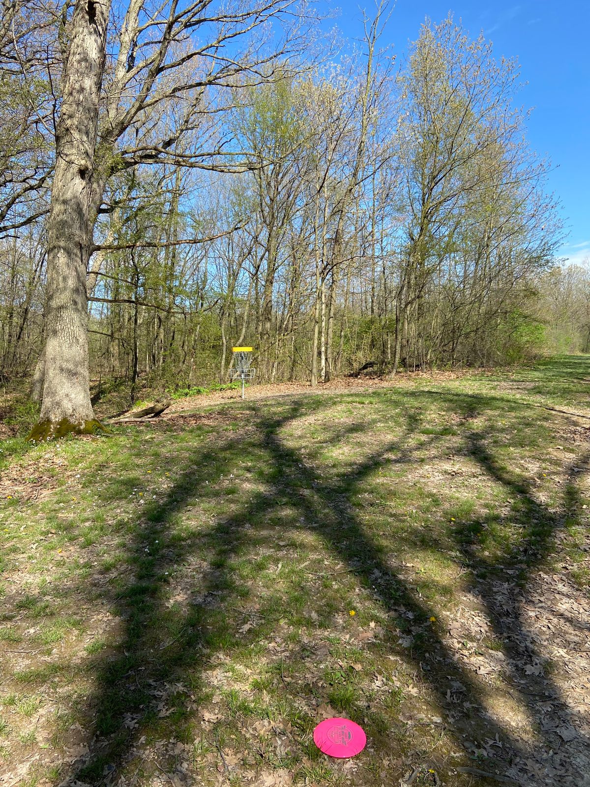 Looking at the pin of hole 10.