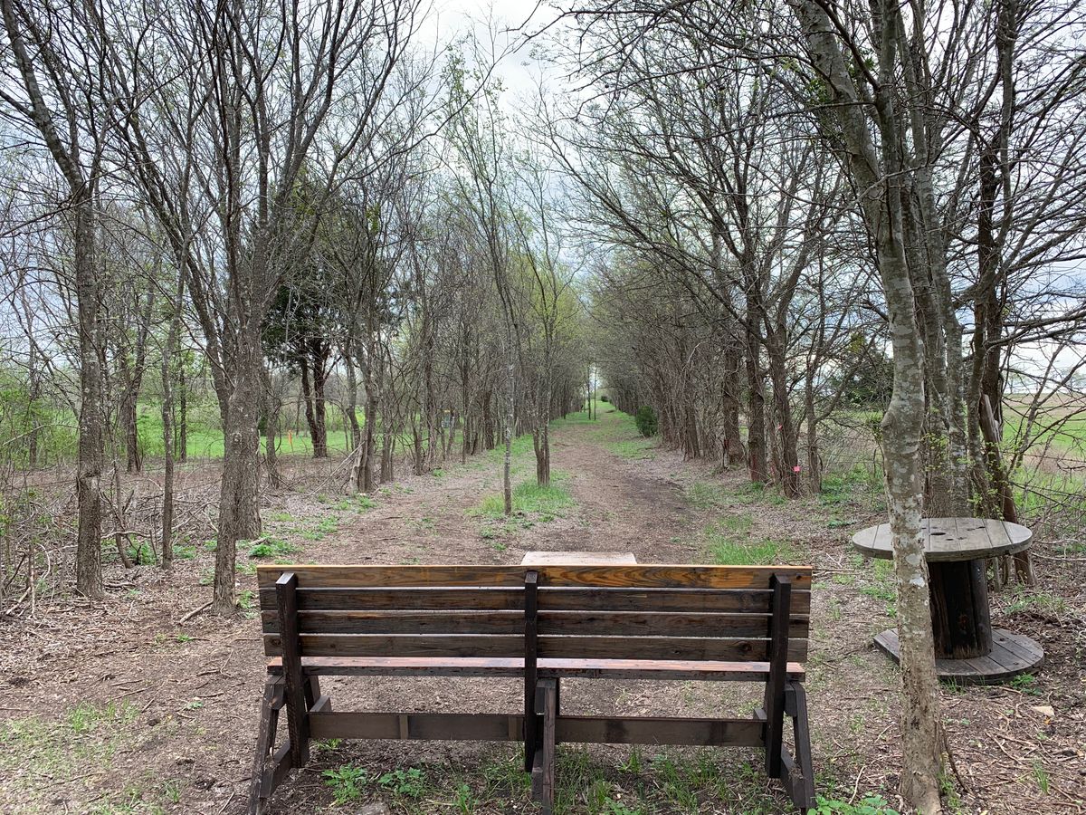 Hole 14