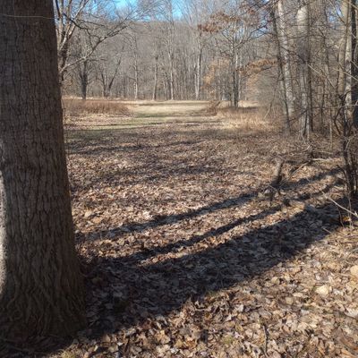Hole 5 white tee