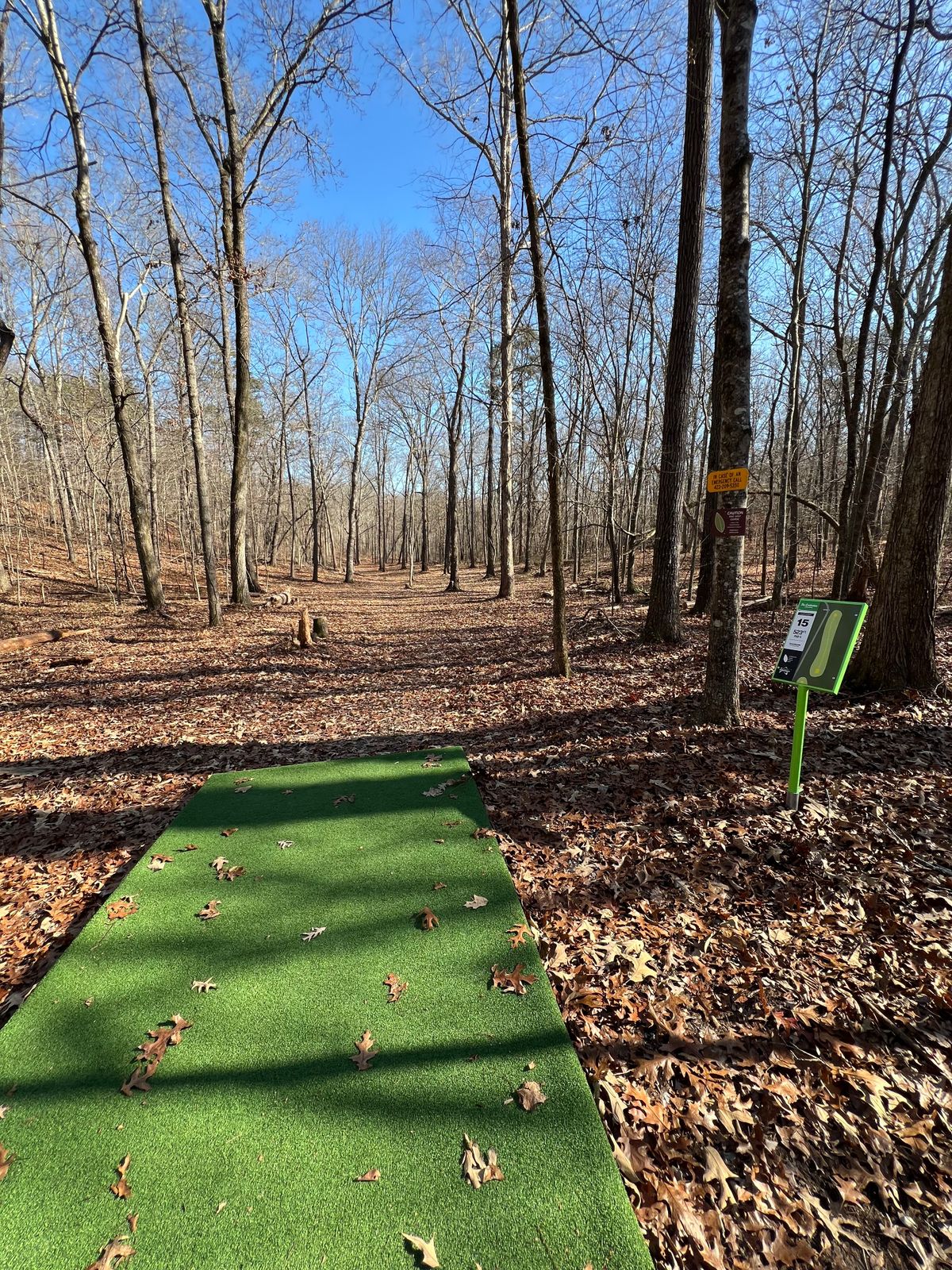 View from 15 tee pad