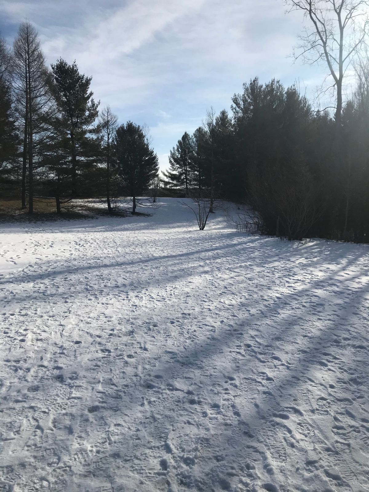 Hole 7 tee virw