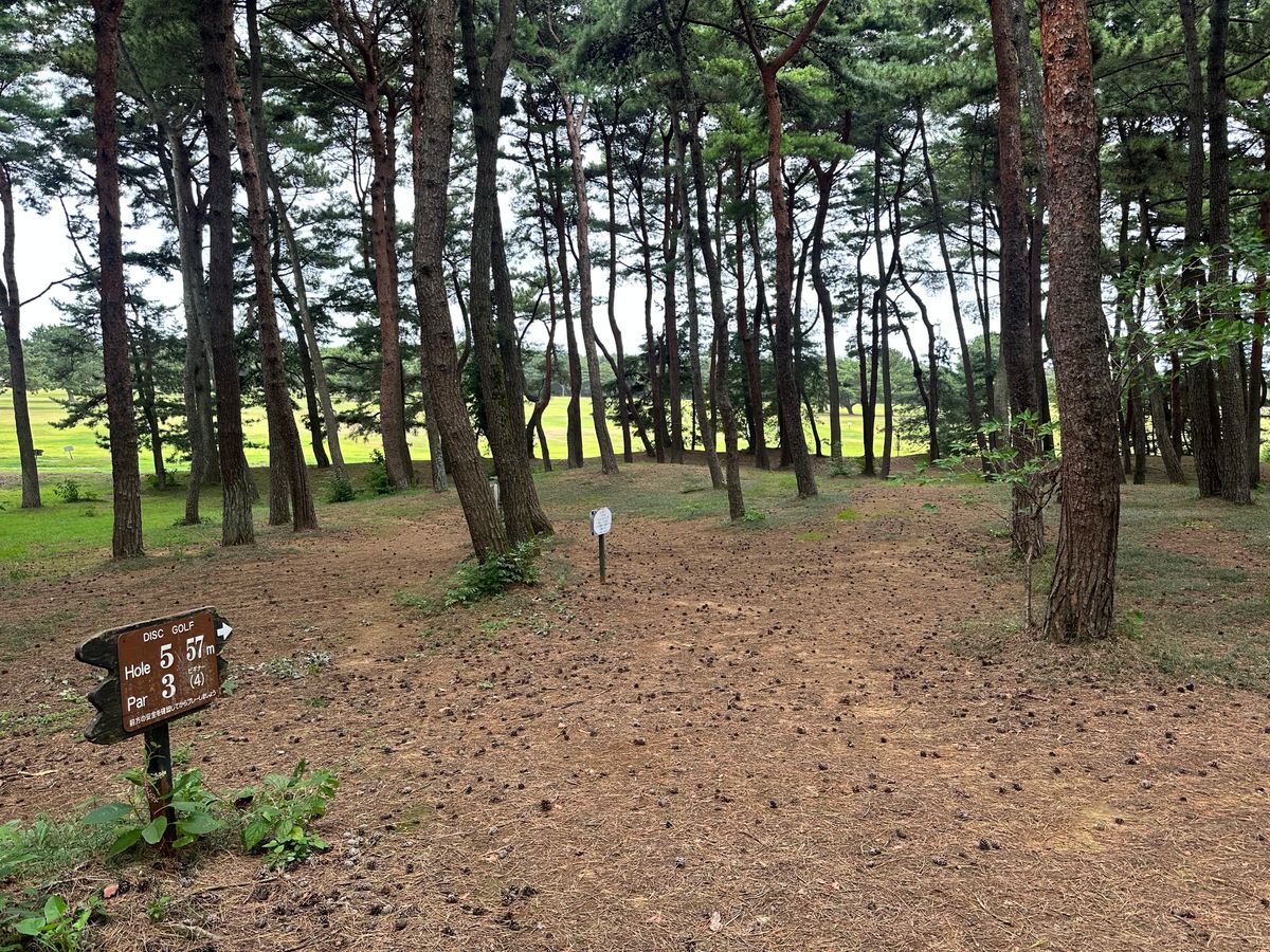 Hole 5