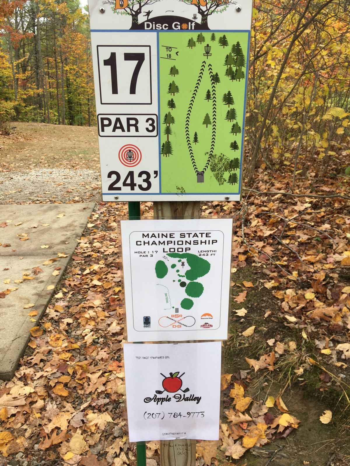 Hole 17