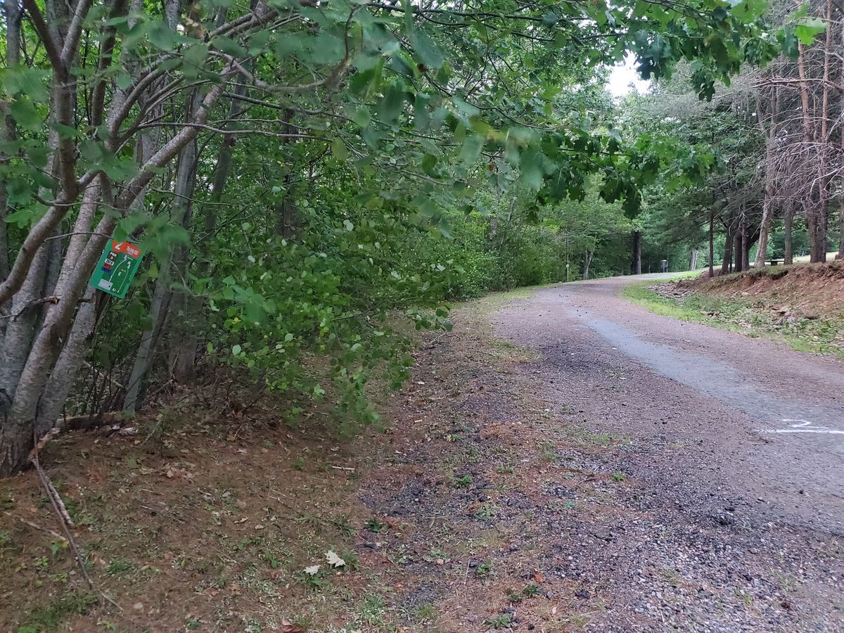 Tee box 2 from the road to basket 5