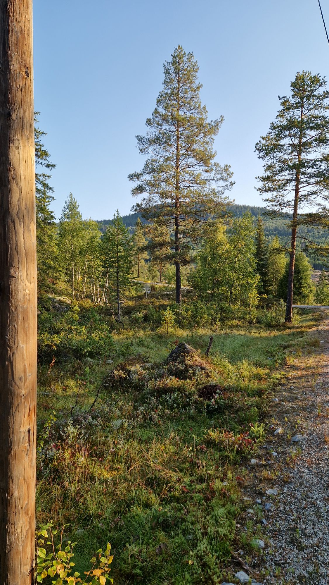 Mot kurv hull 10