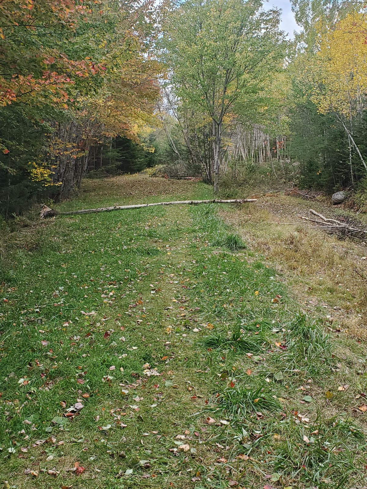 Looking back up the fairway of 5