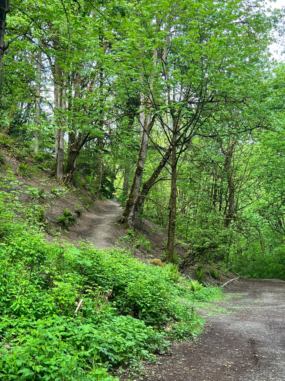 Hole 3