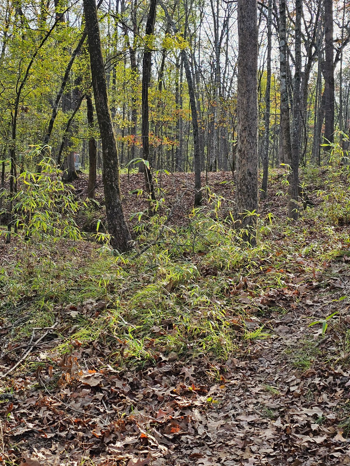 Hole 10