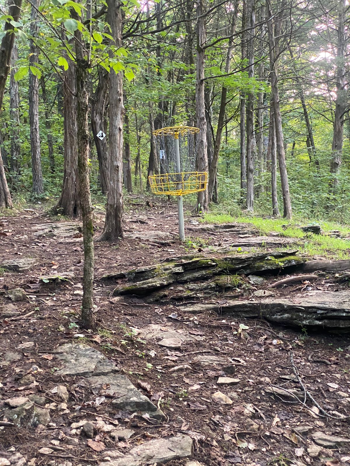 Hole 12