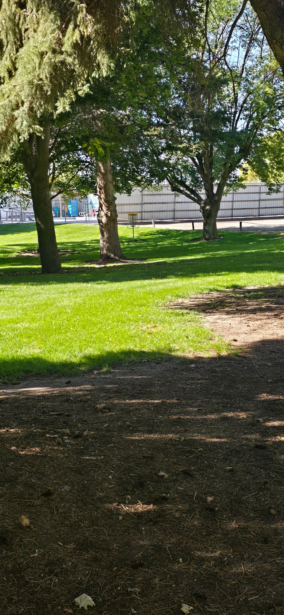Hole 5