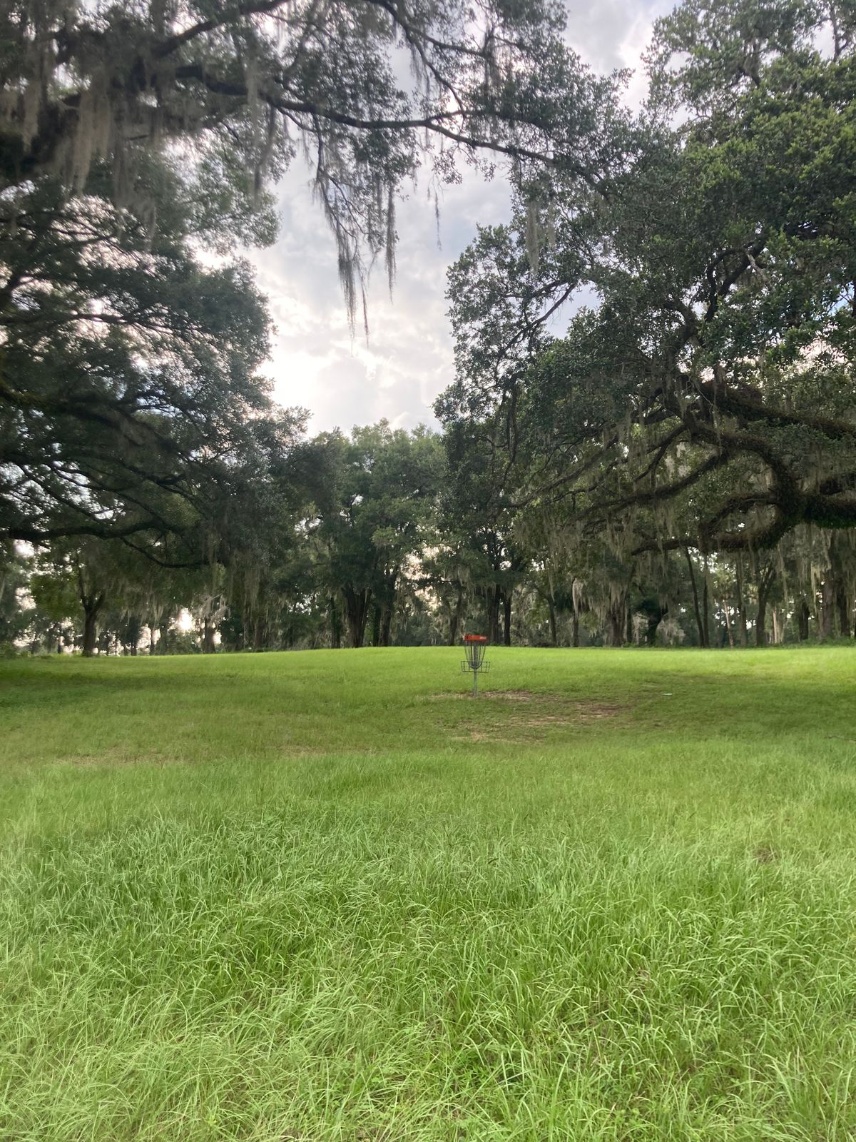 Hole 8 Basket