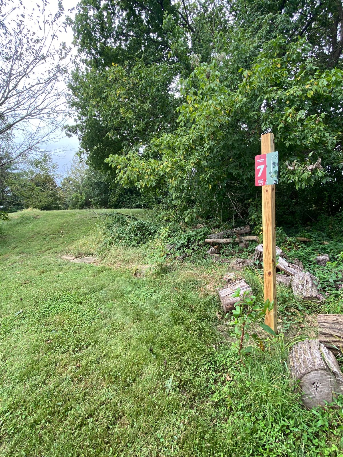 Hole 7