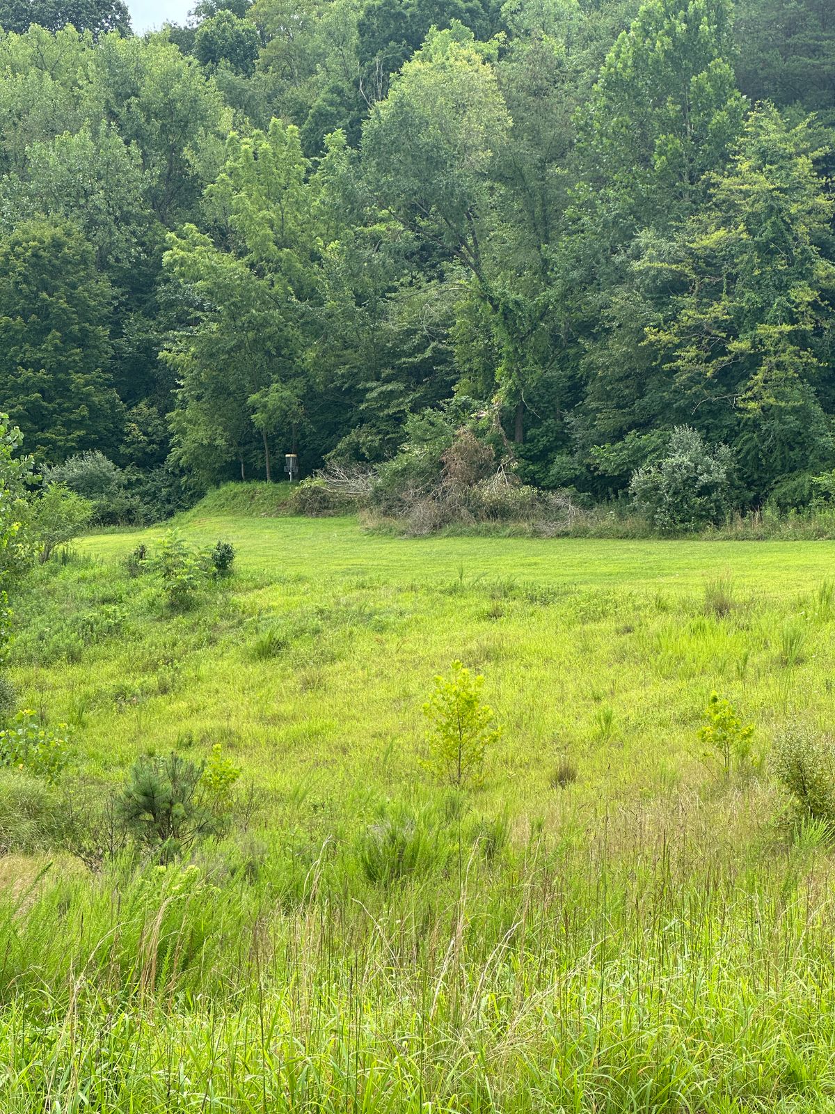Hole 5