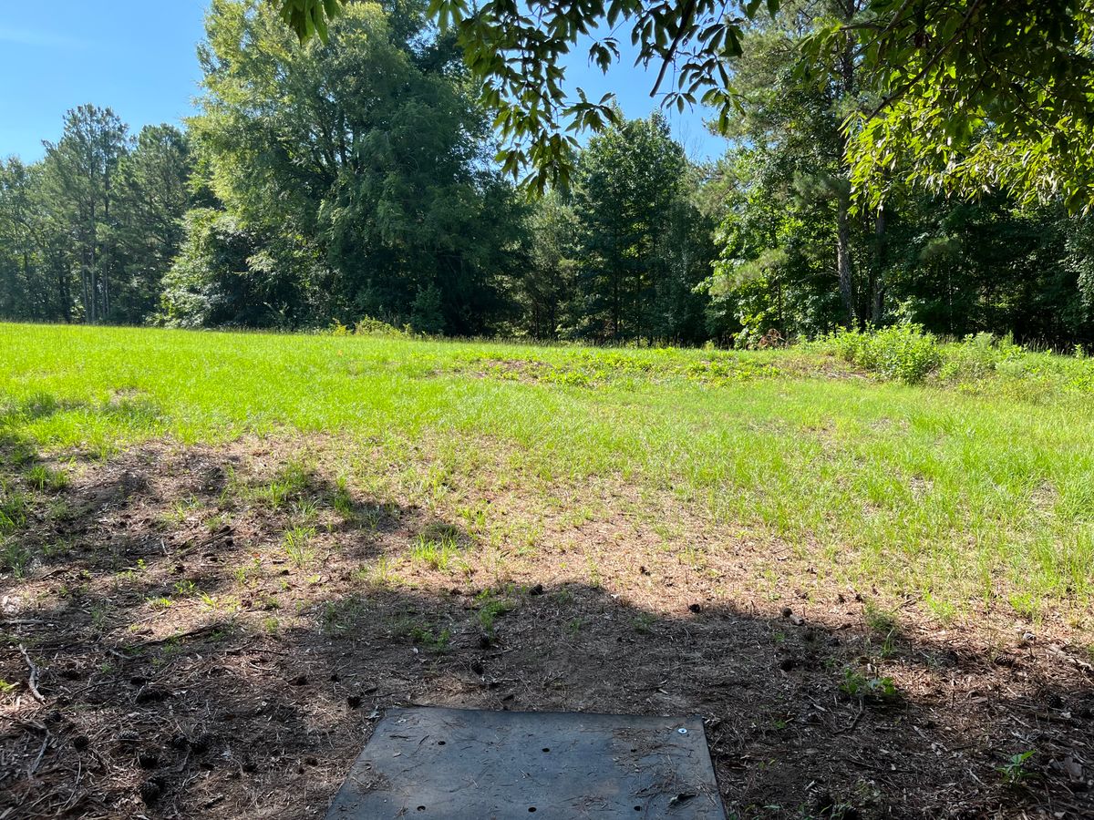 Hole 3 tee box