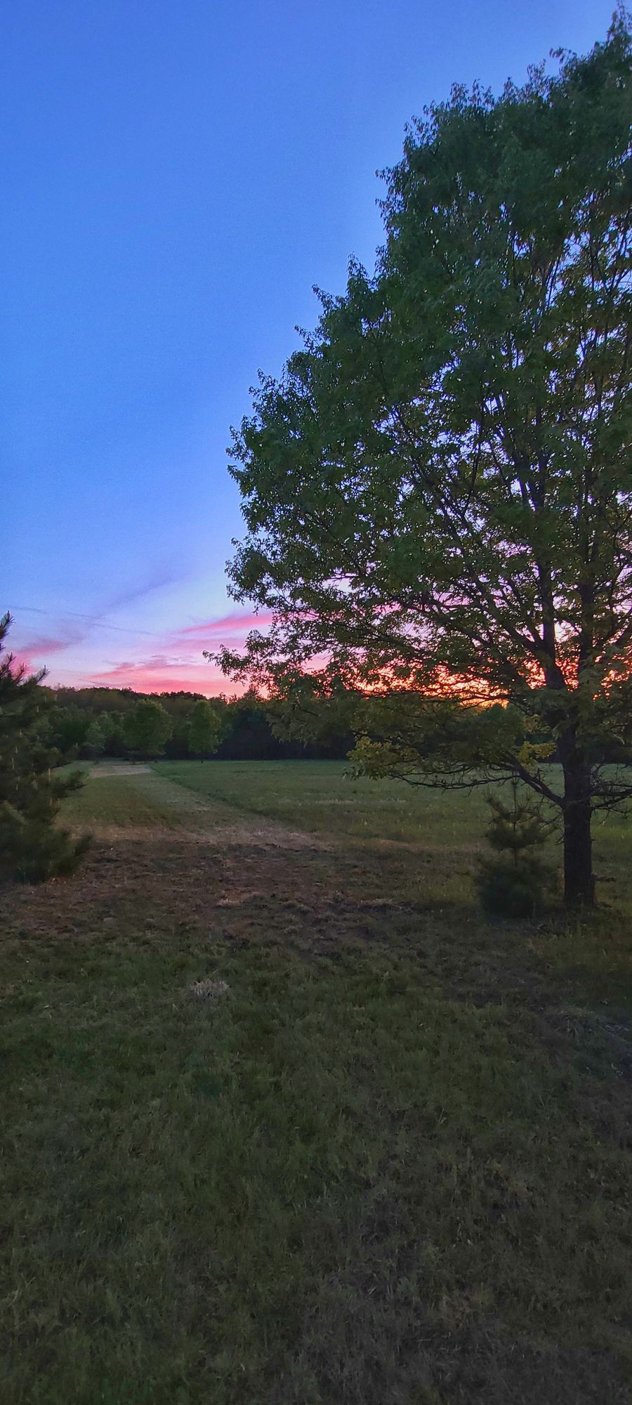 #19 tee