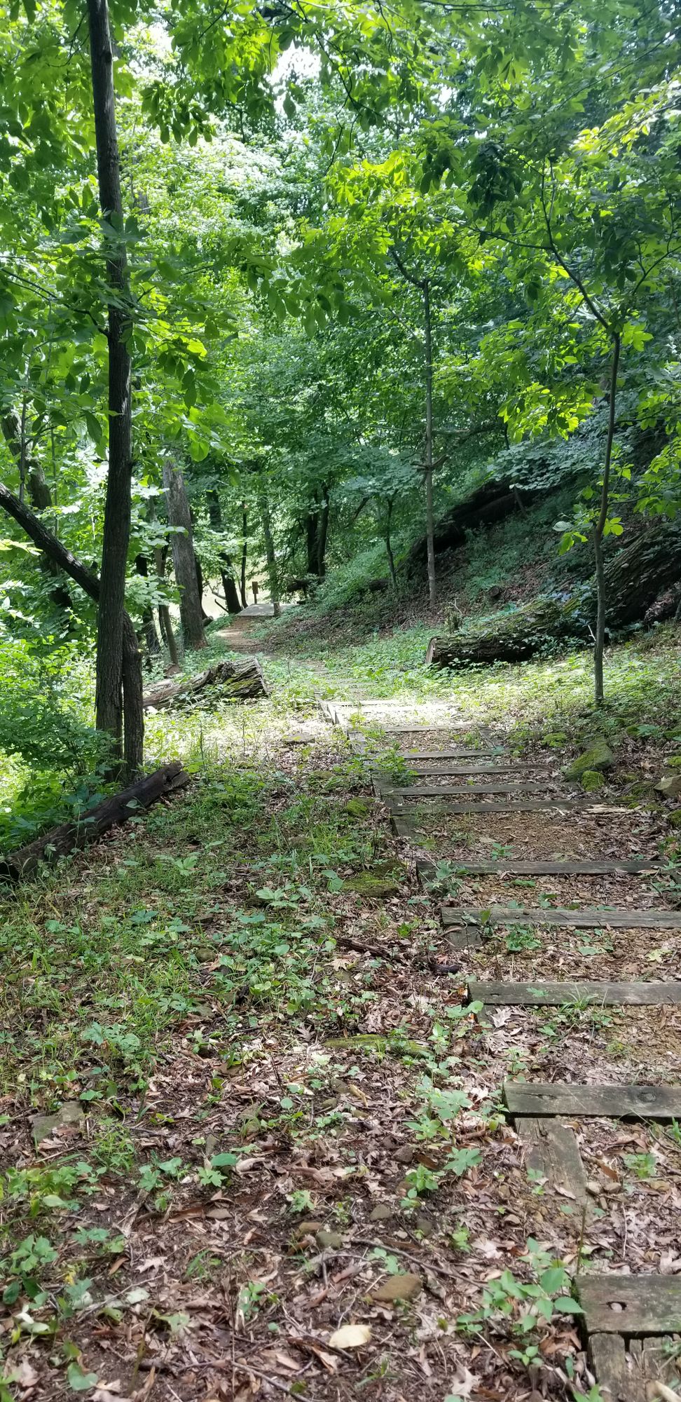 Hole 17 back towards Teepad