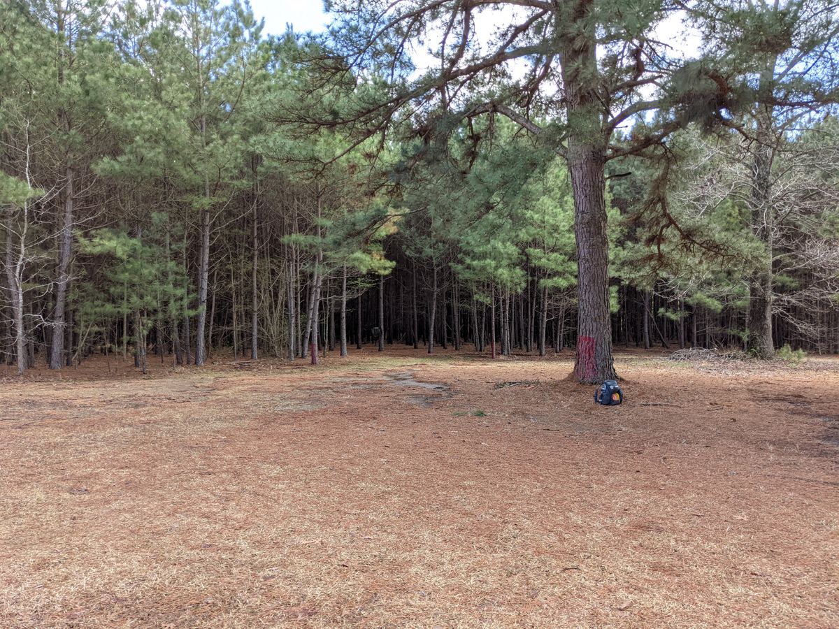 Hole 14