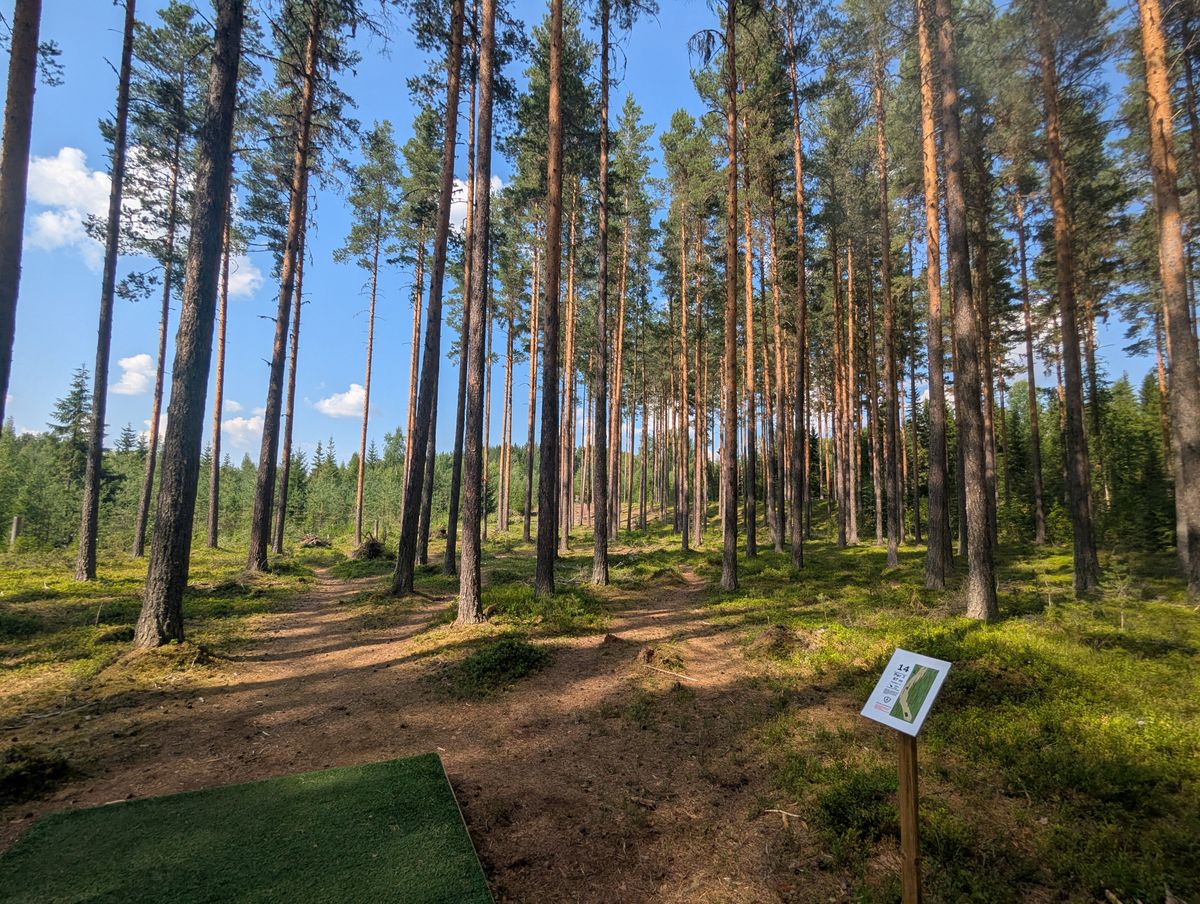 Hål 14