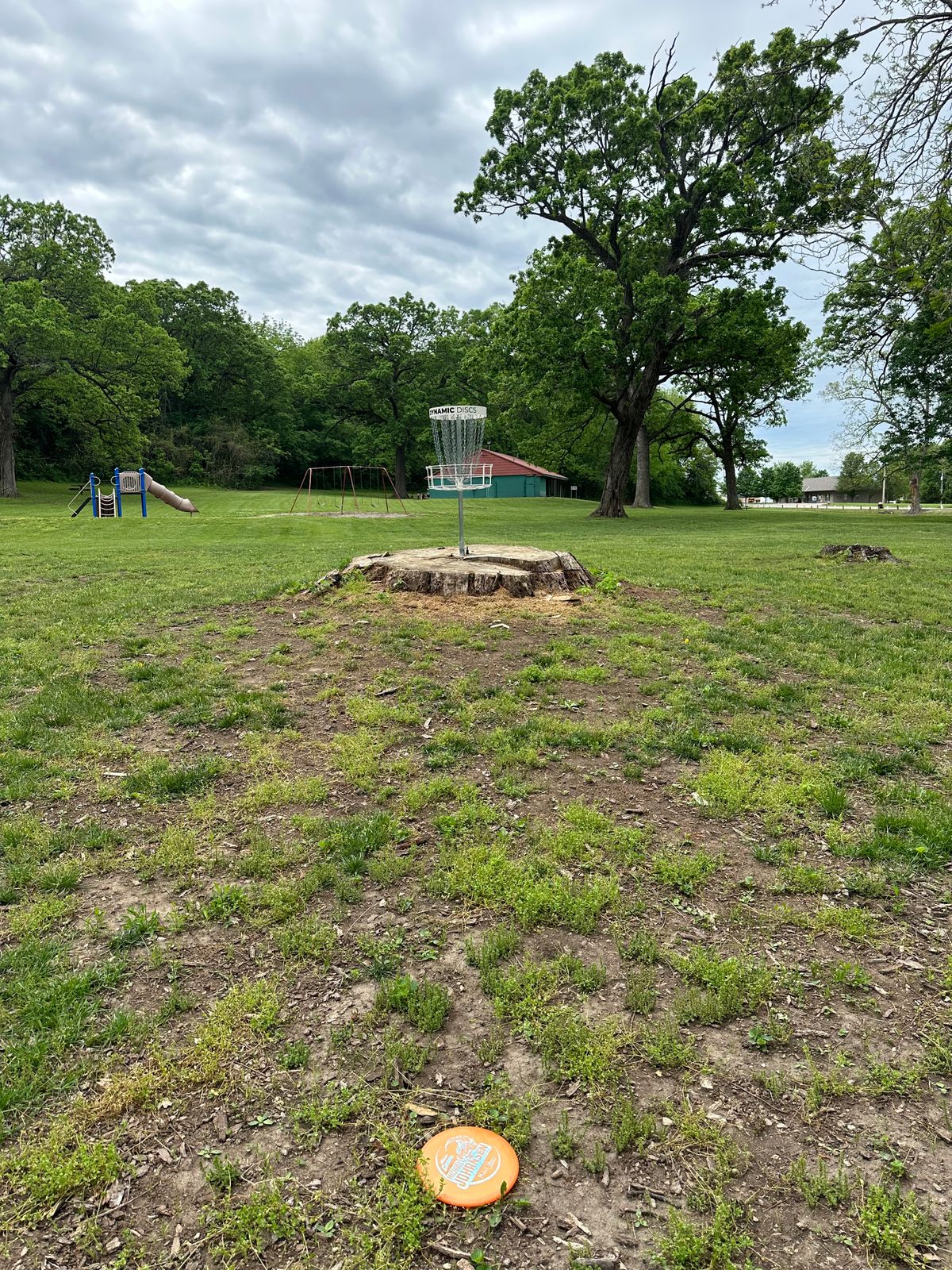Hole, big stump!
