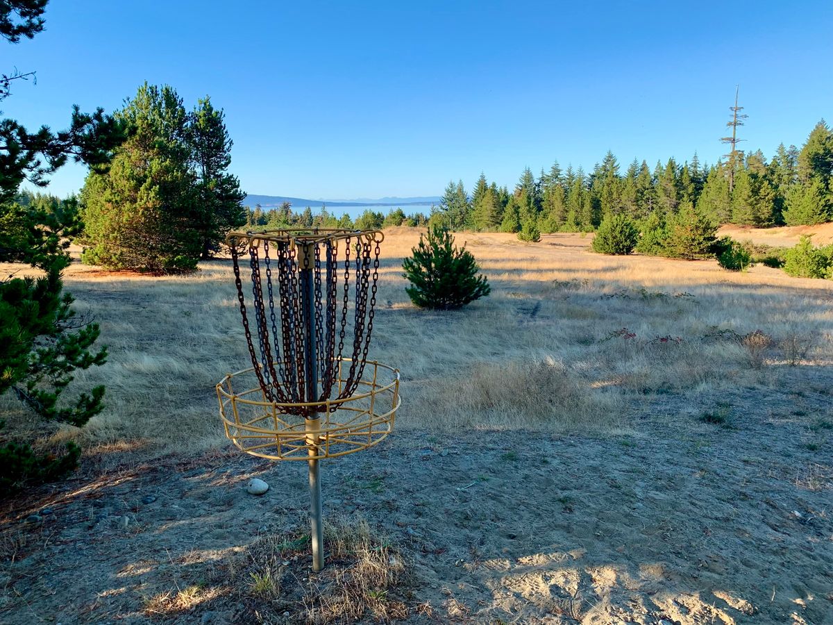 #7 basket & field