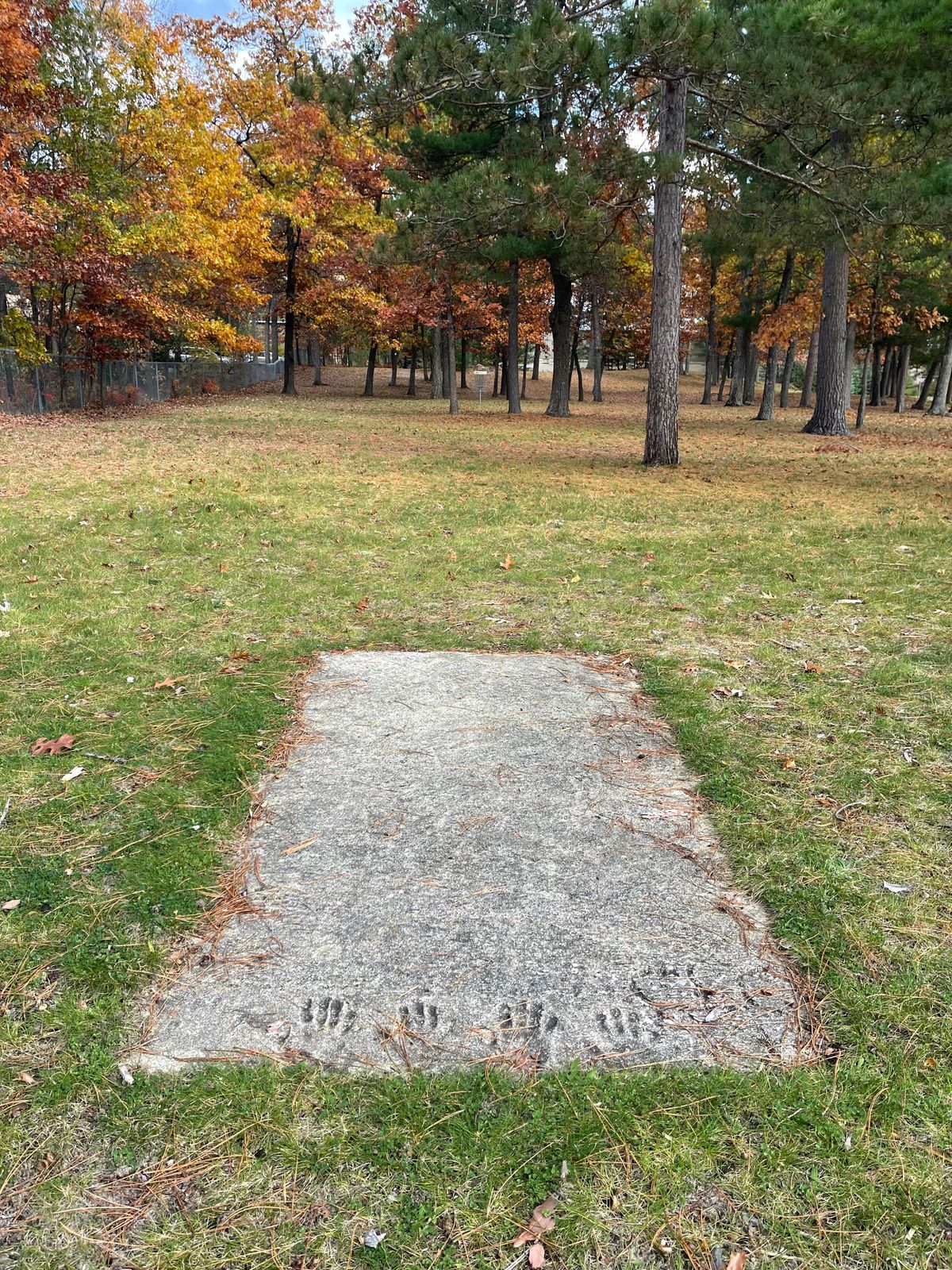 Tee pad one