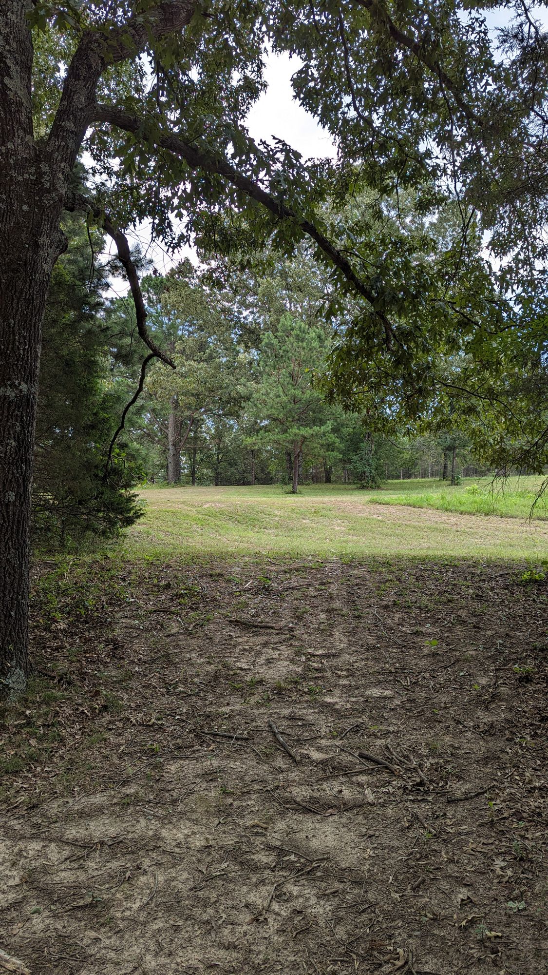Hole 9. Pin is the same as hole 7. 
