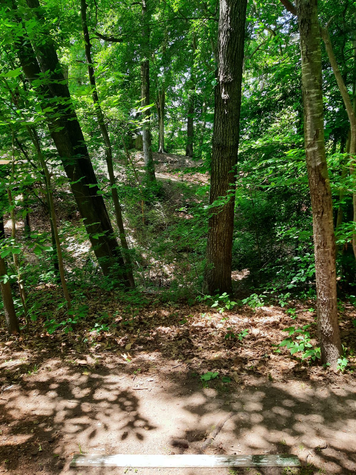Hole 15 White Alt Tee
