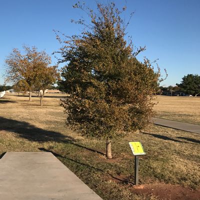 Hole 14