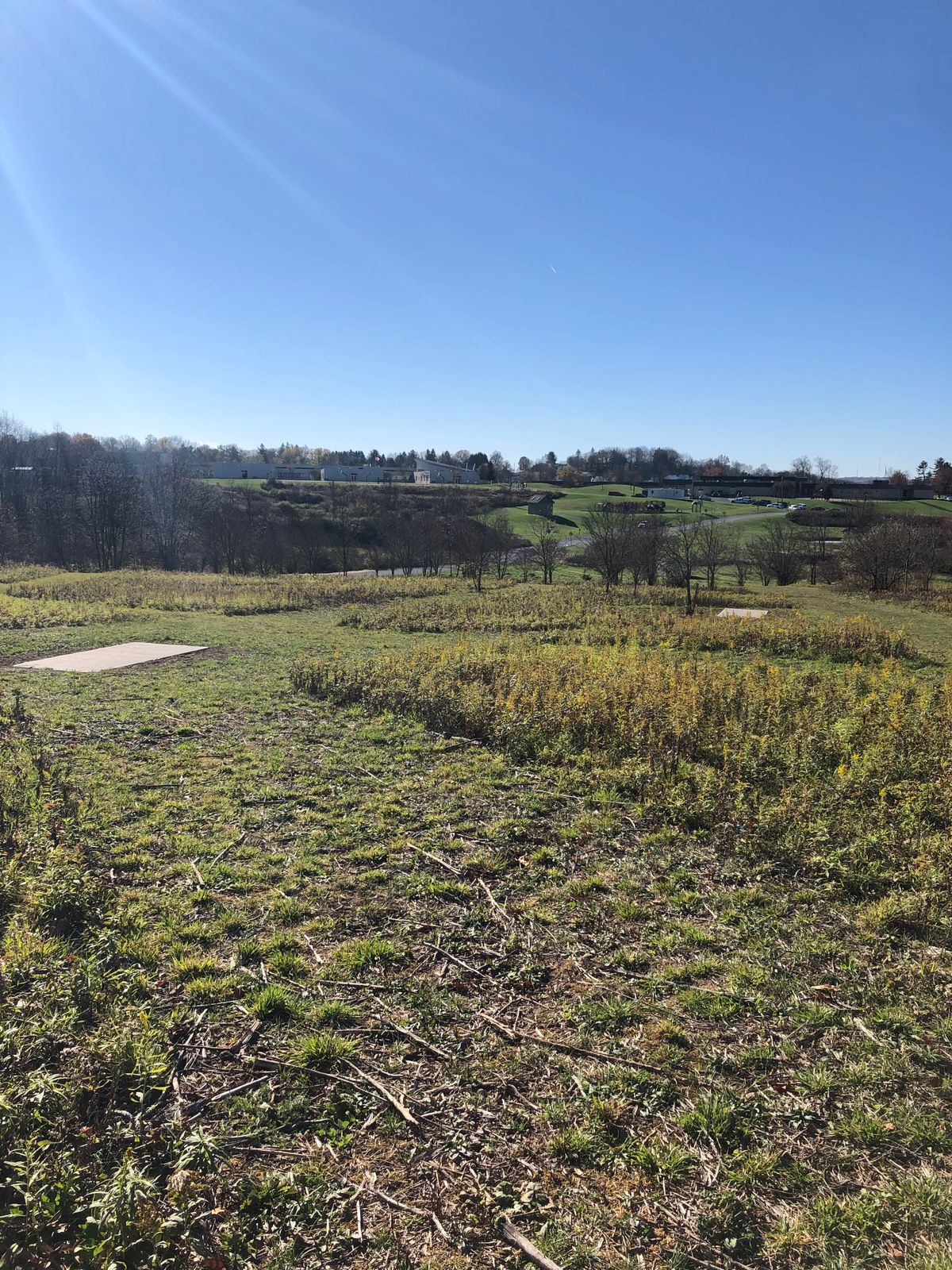 Hole 5 Tee Pads