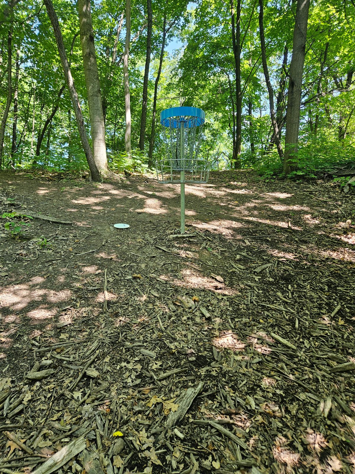 Hole 4 green