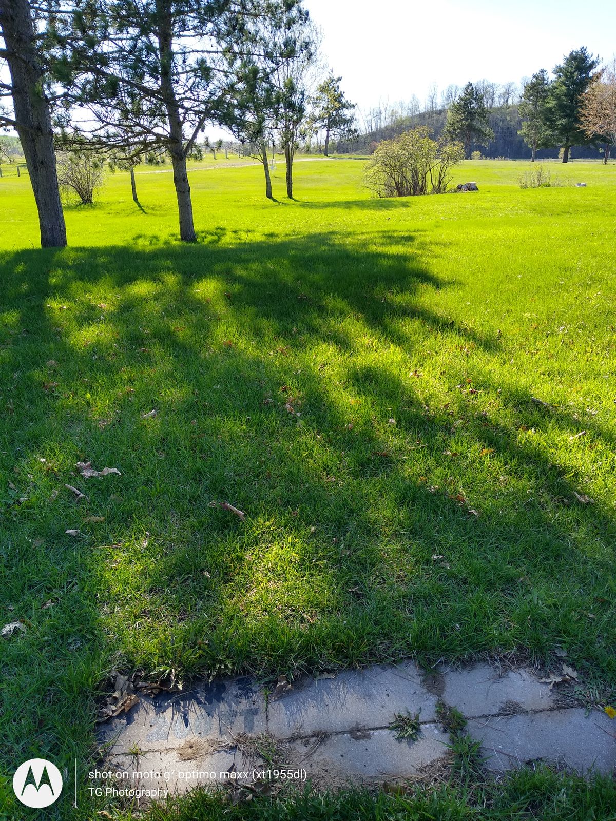 Tee 5