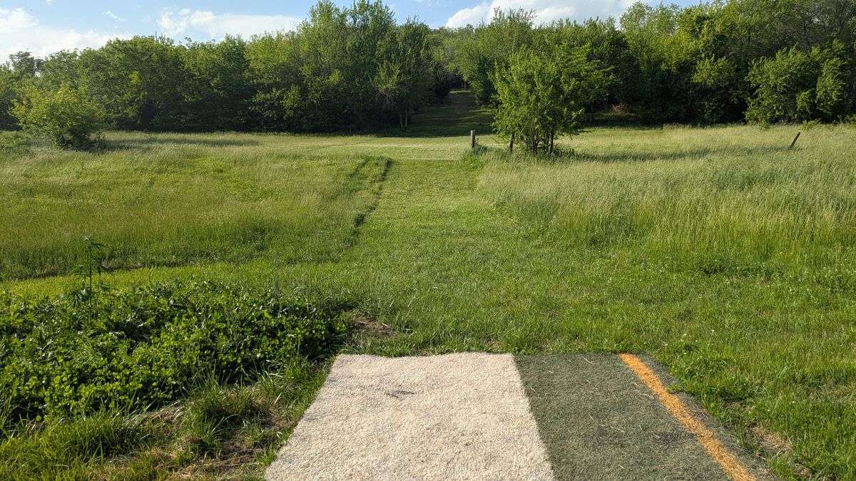 Tee #8