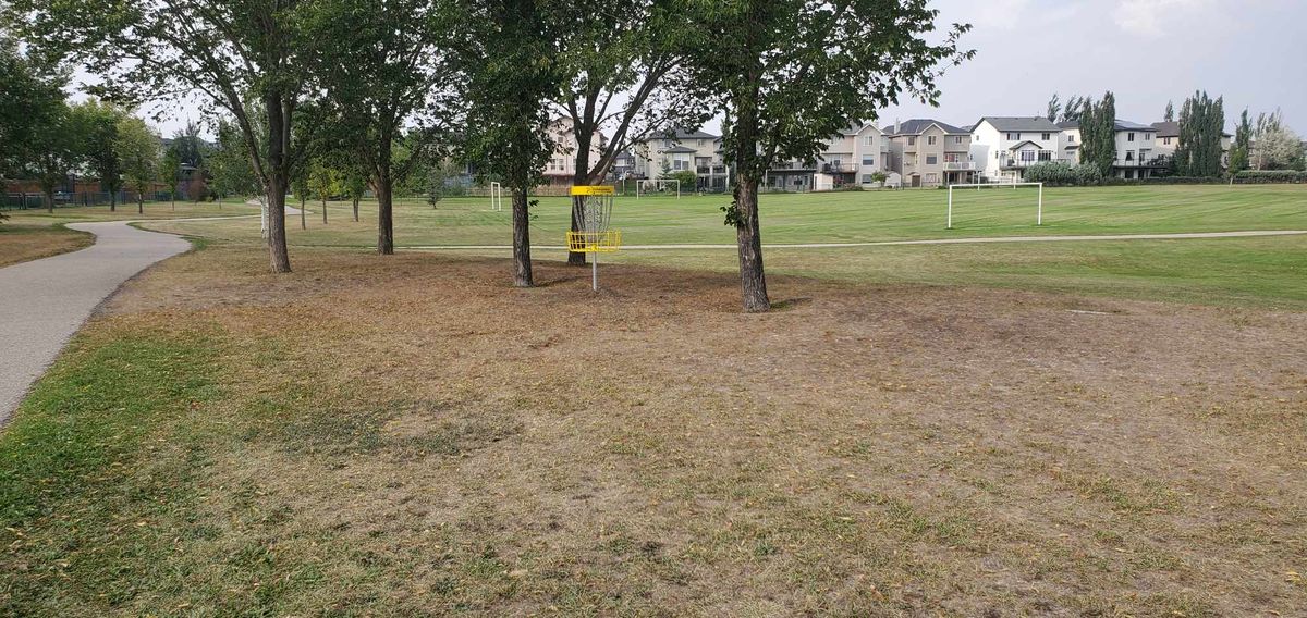 Hole 6 Basket