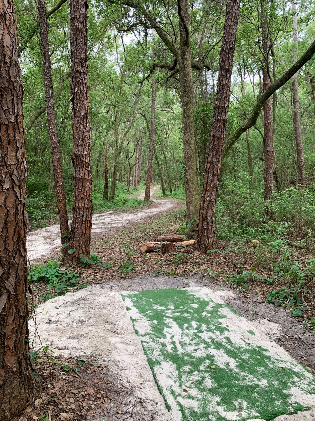 Hole 6