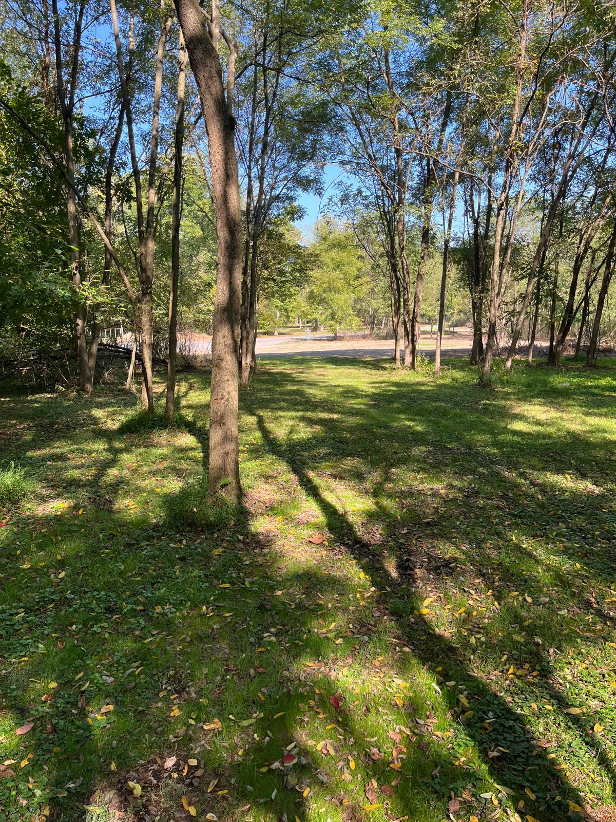 Hole 12 fairway