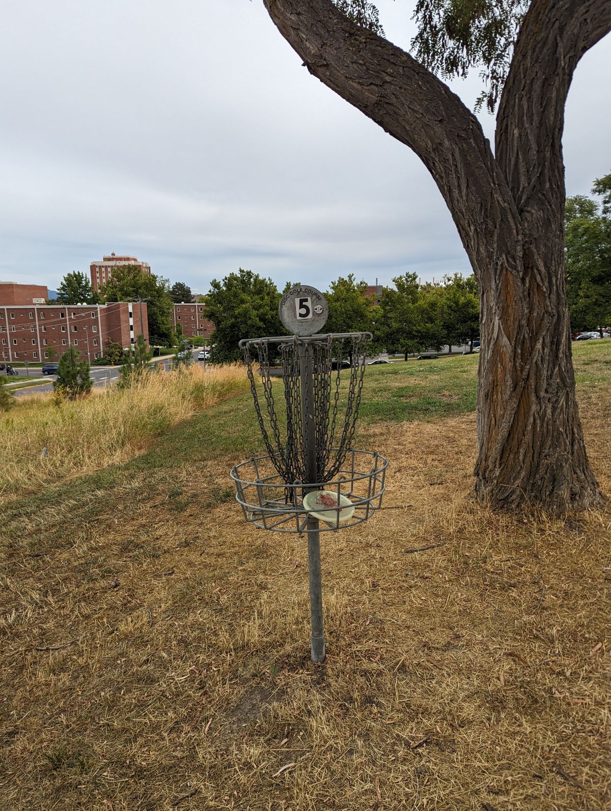 Hole #5