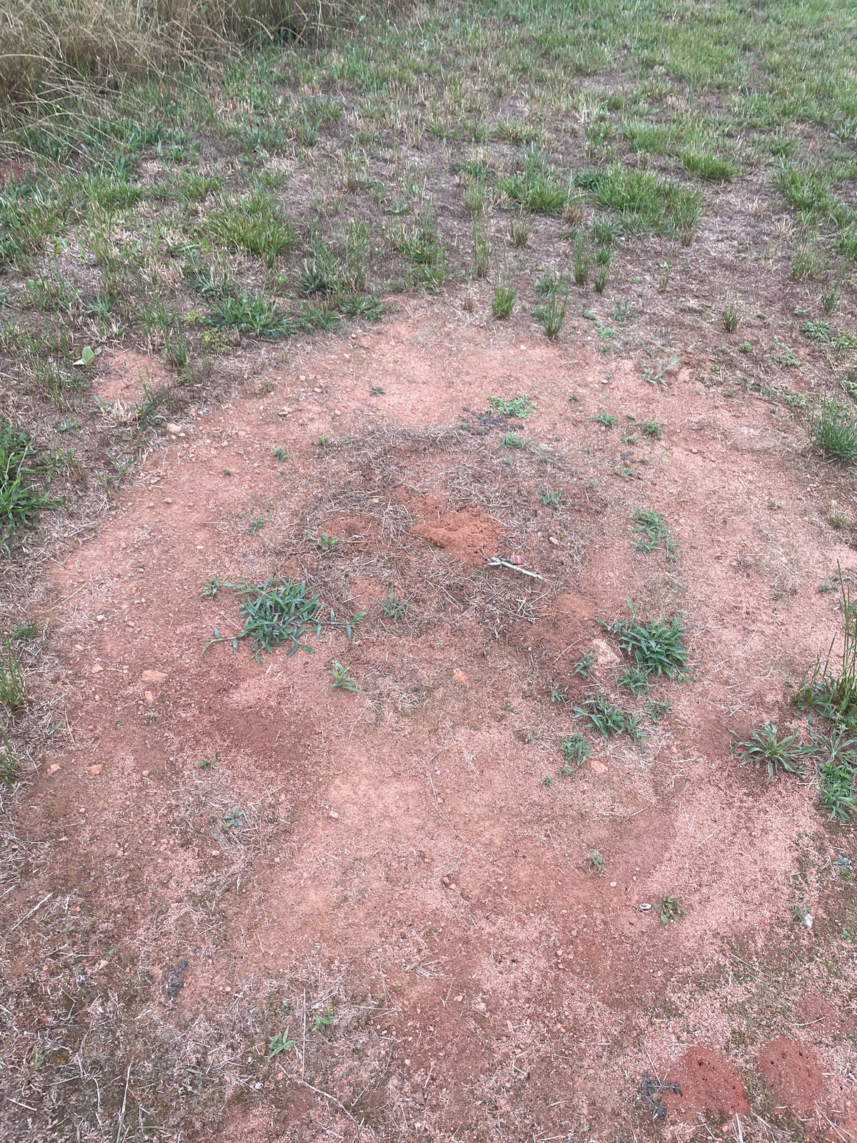 Hole 6
